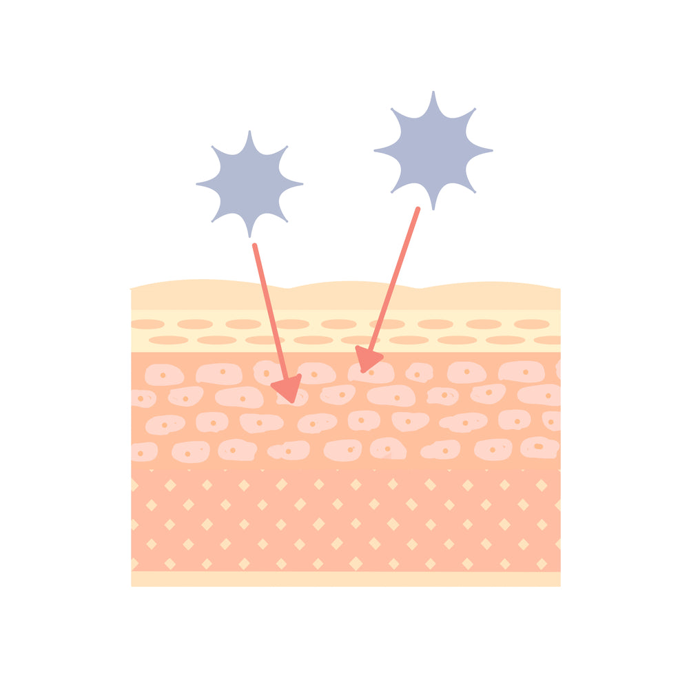 Barrier Function Support