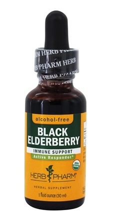 BLACK ELDERBERRY ALCOHOL FREE 1 fl oz - Clinical Nutrients