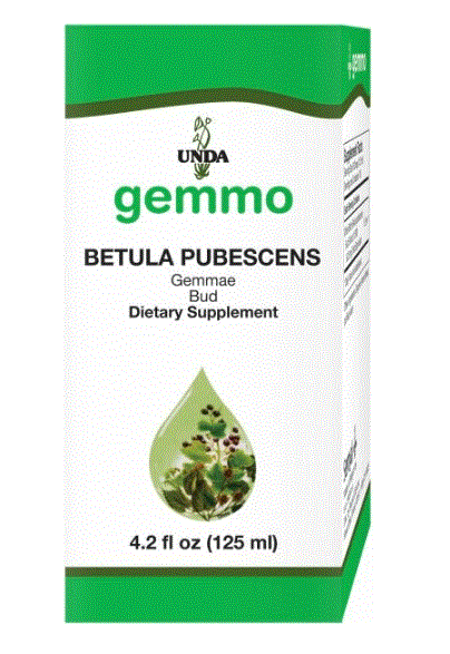 Betula pubescens Bud - Clinical Nutrients