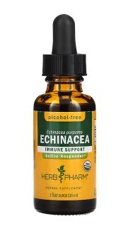 ECHINACEA ALCOHOL FREE 1 fl oz - Clinical Nutrients