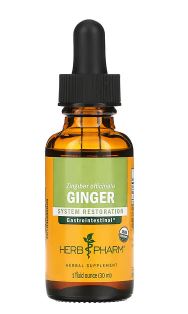 GINGER 1 fl oz - Clinical Nutrients