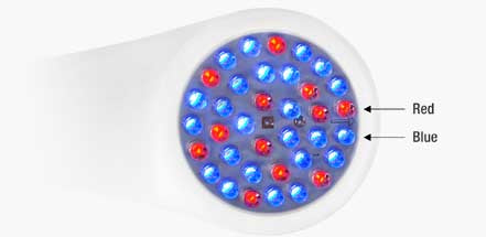 Home Care Lights - LightStim for Acne PLUS - Clinical Nutrients