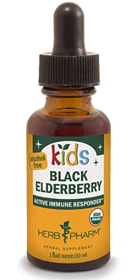 KIDS BLACK ELDERBERRY ALCOHOL FREE 1 fl oz - Clinical Nutrients