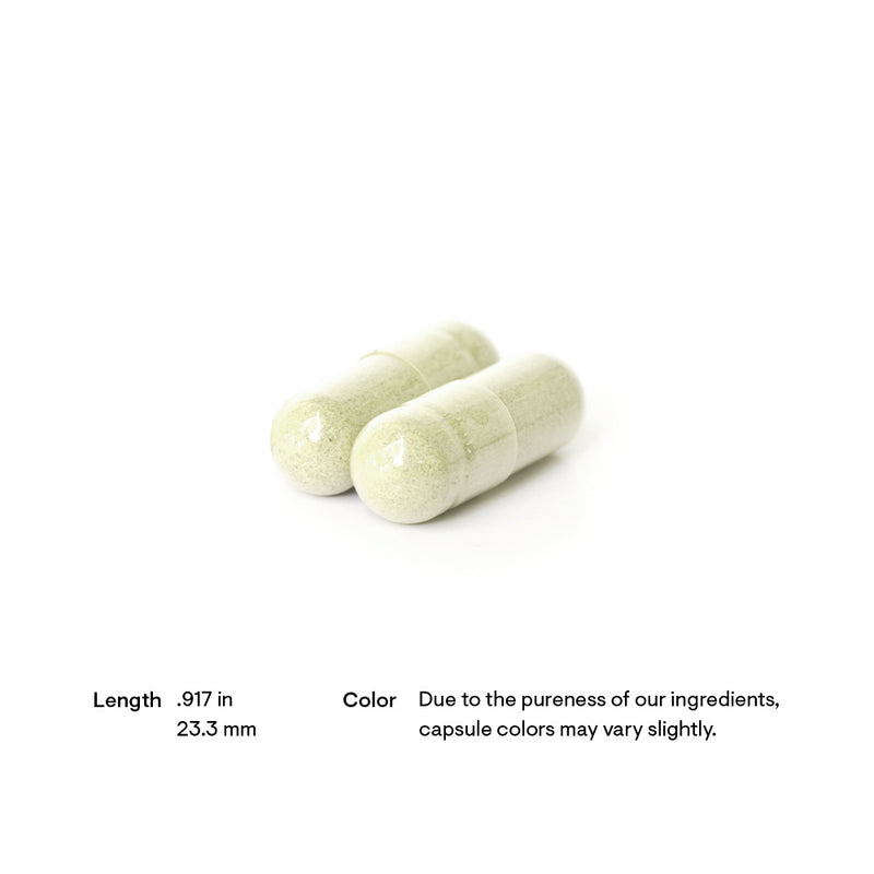 PharmaGABA-250 60 Capsules - Clinical Nutrients