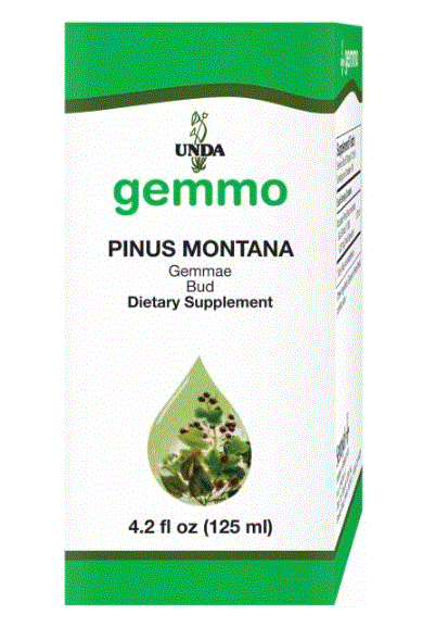 Pinus montana 125 ml - Clinical Nutrients