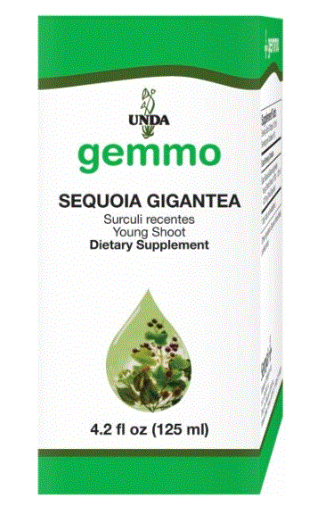 Sequoia gigantea 125 ml - Clinical Nutrients