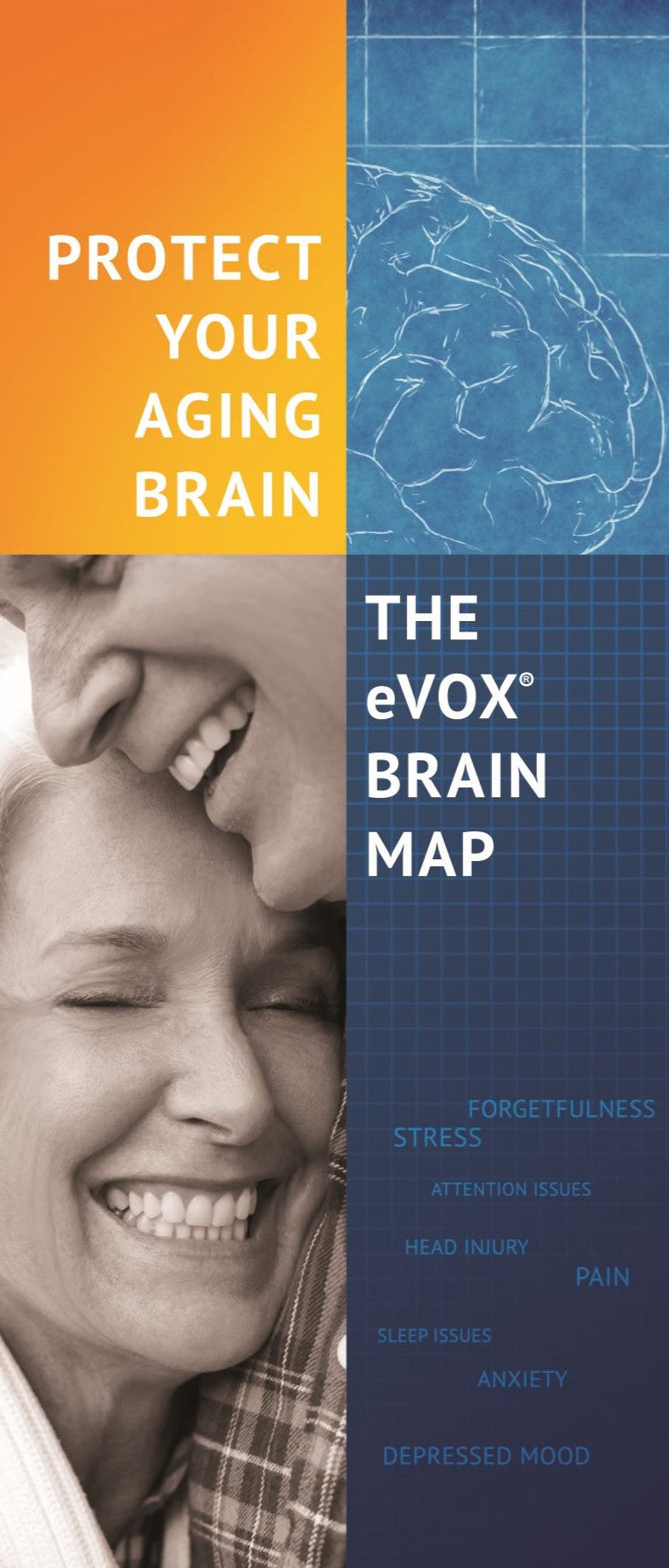 eVox Brain Mapping - Clinical Nutrients